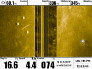 Bottom scanned image